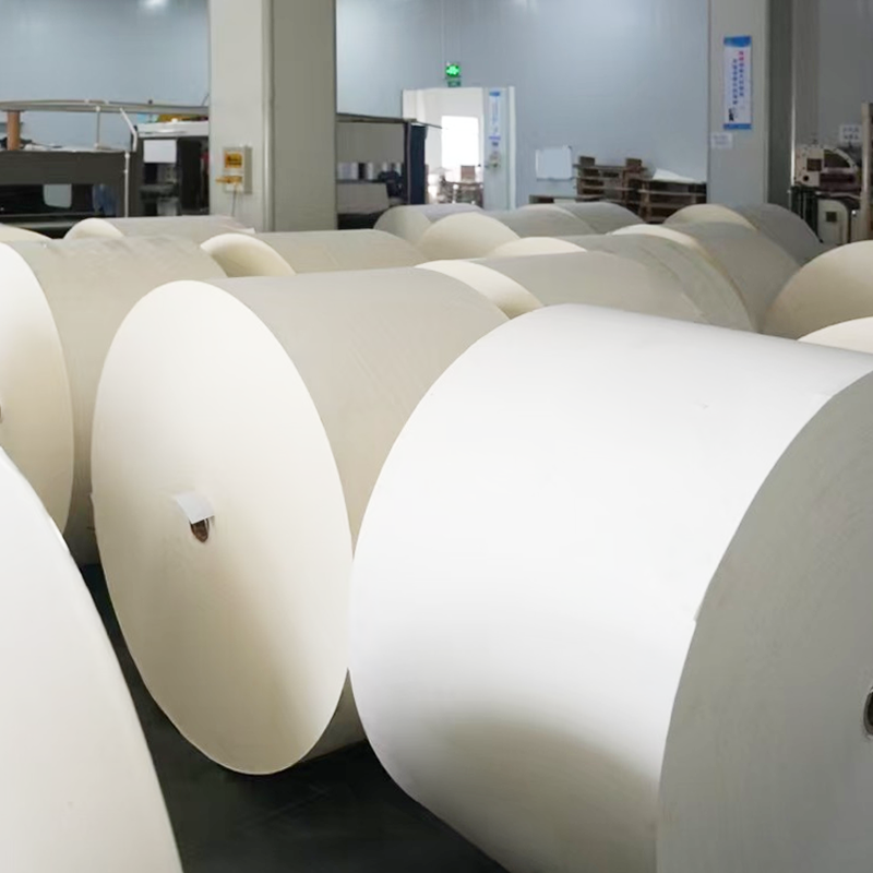 Compostable plastic-free coated cup bottom paper